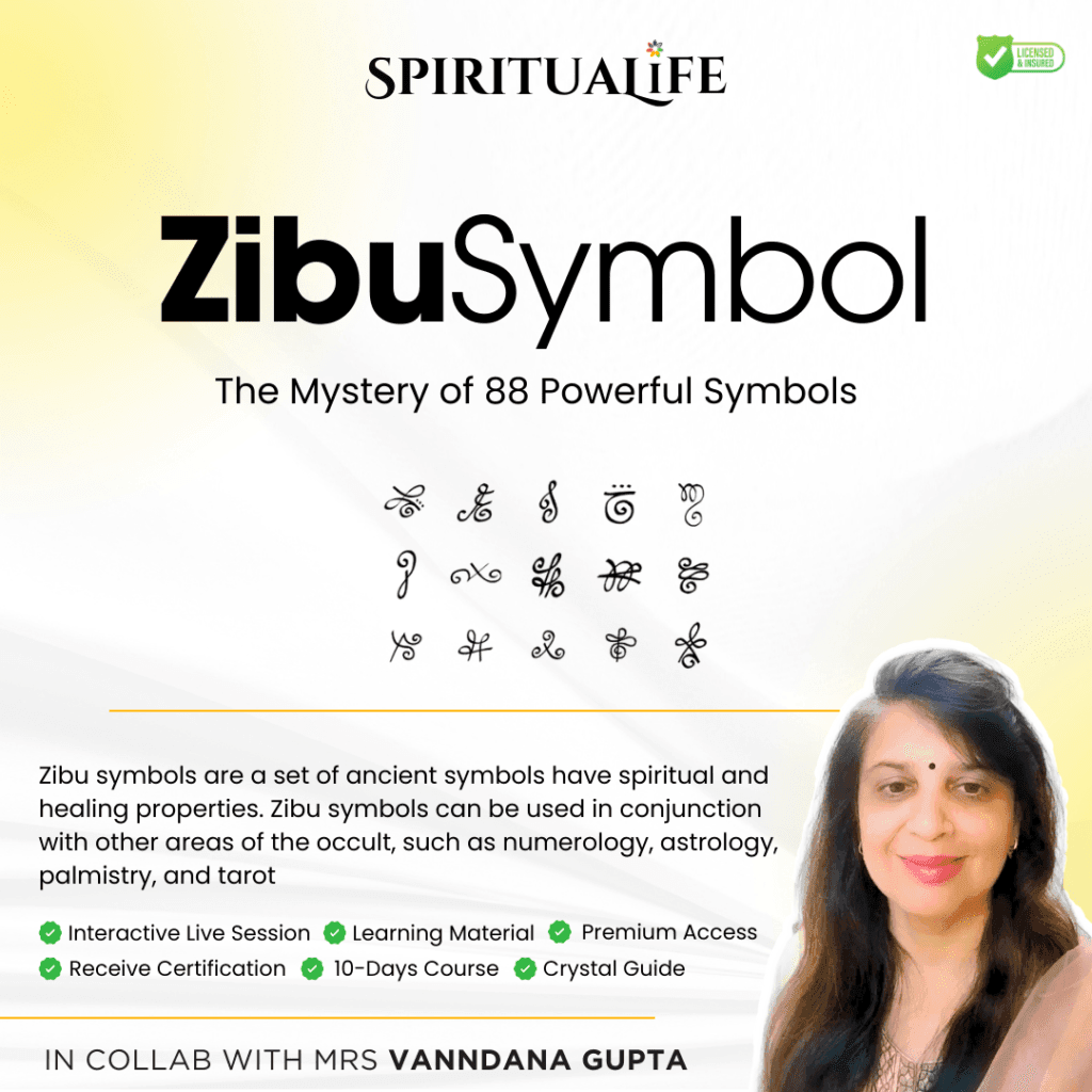 Webinar Management Service 15 Zibu symbol
